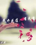 花开花落，有失有得