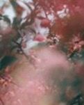 【专栏】你是我今生的劫