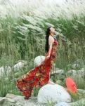 七律，感想一组