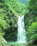 七律，随想四首