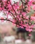 相逢，回首