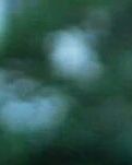 赋韵红尘叹，遗梦水云间