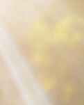 【专栏】有一种美好叫只因有你