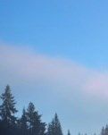 【专栏】空心人