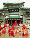 梦回南少林