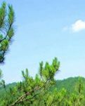 麻姑圣境纪家山