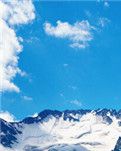 【专栏】无奈允你自由地飞