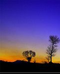 《小桃红·3首》