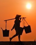 故乡的夏日