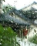 【专栏】雨韵