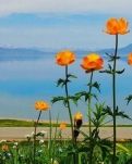 血流下，冲淡了我的内疚