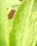 礼钱