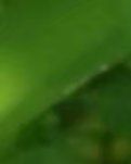 【专栏】小憩