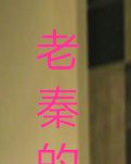 【小说征文】老秦的隐私