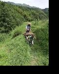 雾里看黄江，仙凡两难辨