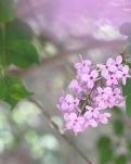 【专栏】错缘