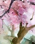 碎梦残花伴相思