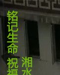 铭记生命，祝福未来