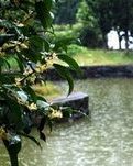 【专栏】你那里下雨了吗