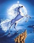 以梦为马，驰骋星海