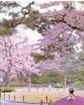 【专栏】北风走后，雪花不再飘落（外五首）