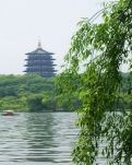 【专栏】秋天你又回到我的身边