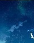 【专栏】旧情复燃（组诗）