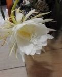 刹那 ．永恒