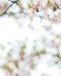 【专栏】游荡在秋天的思念