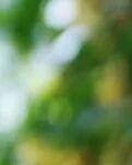 【专栏】割舍不下的军营