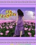 【专栏】思念，是一卷别致的美丽（诗歌）