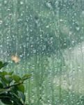 【专栏】秋雨