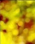 【专栏】一滴酒（诗歌）