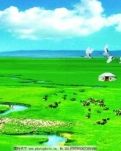【江山宸光】天地见证（大学组诗歌）