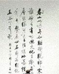 【荷塘“有奖金”征文】此生爱容若（散文）