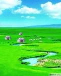 【江山宸光】和平境界（大学组诗歌）