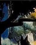 【专栏】有一个梦，在童话里为你站岗（组诗）