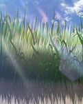 【专栏】失恋（组诗）
