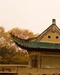 【实力写手选拔赛】大自然的馈赠（散文）