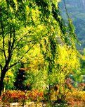 词三首·秋（古韵）