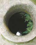 青石井传说（散文）