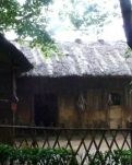 幼时一场雷雨(散文）