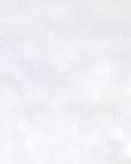 【专栏】雪，遐想一片红叶（诗组）