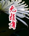 无赖章（小说）
