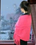 【檀香】冬雪闲愁（诗歌）