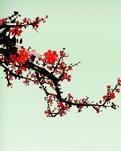 【丹枫】不该来海上，把爱全输完（诗歌）