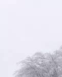 【江南】大雪（外一首）