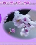 【荷塘“有奖金”征文】今日大雪，何日赏梅（现代诗）