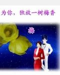 【荷塘“有奖金”征文】只愿为你，独放一树梅香（诗歌）