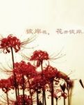 落尘